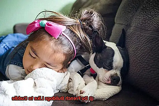 Do French Bulldogs Like to Cuddle-2