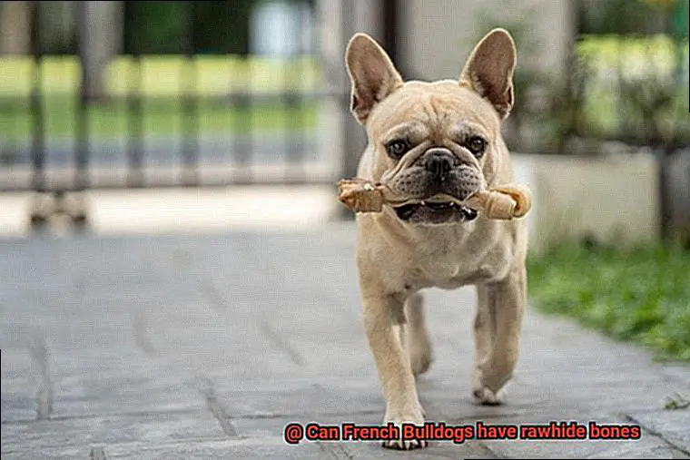 Can French Bulldogs have rawhide bones-2