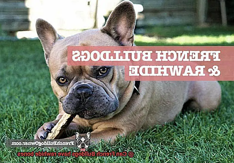 Can French Bulldogs have rawhide bones-5