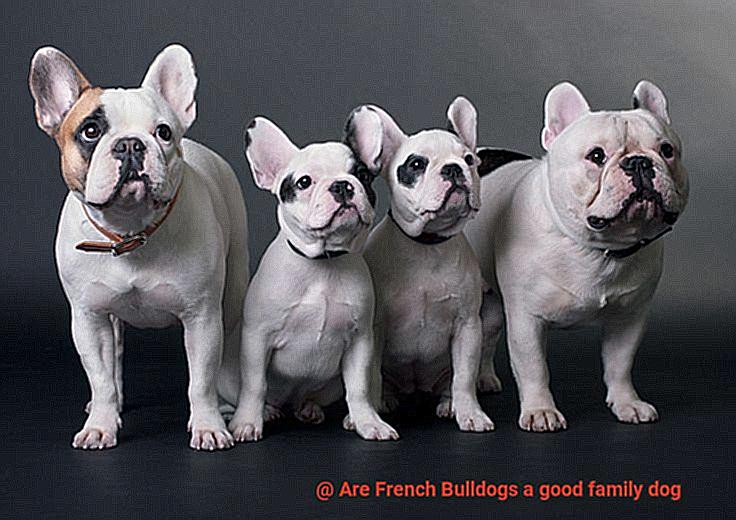 Are French Bulldogs a good family dog-4