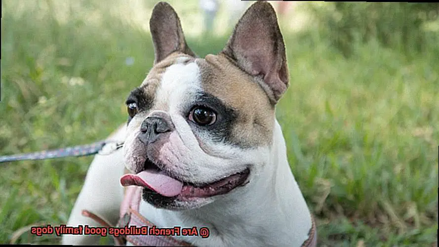 Are French Bulldogs good family dogs-5