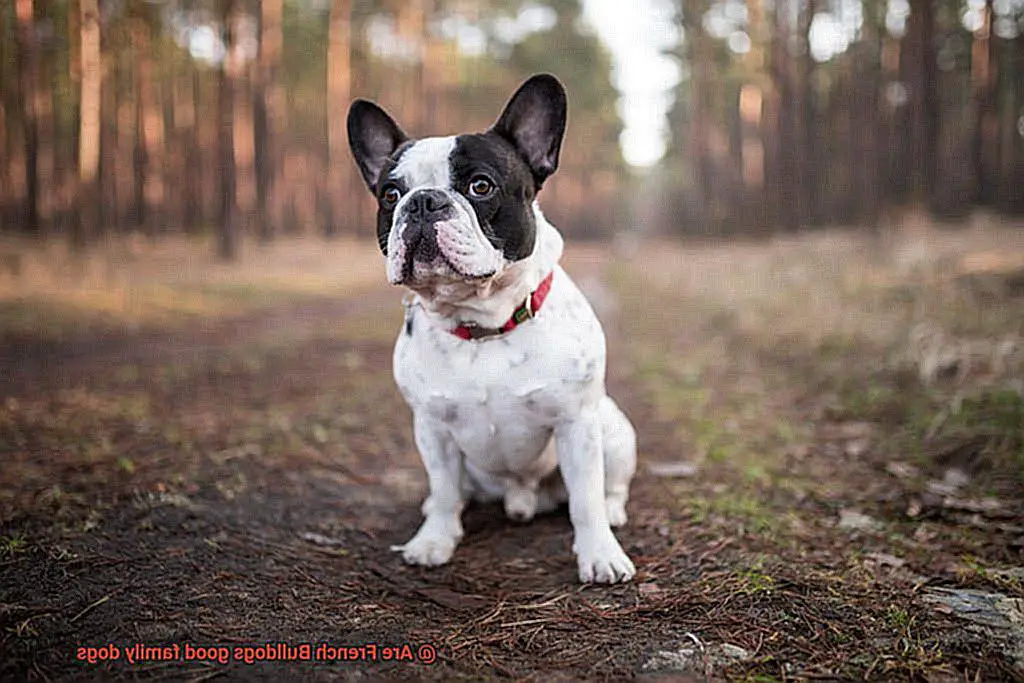 Are French Bulldogs good family dogs-4