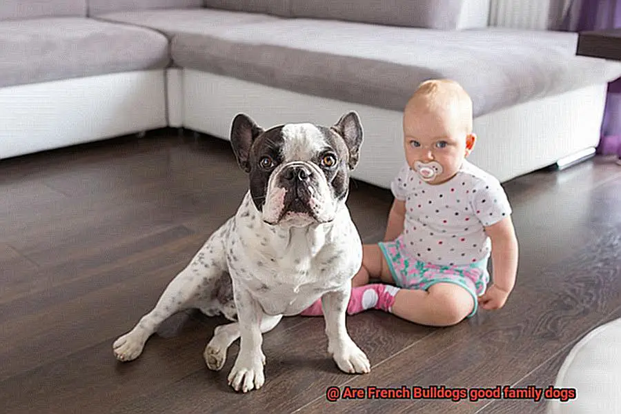 Are French Bulldogs good family dogs-6