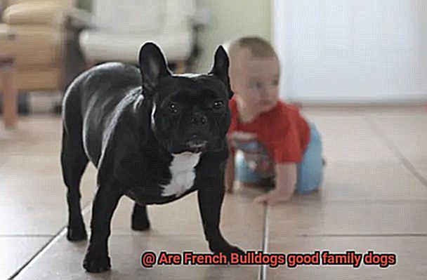 Are French Bulldogs good family dogs-2