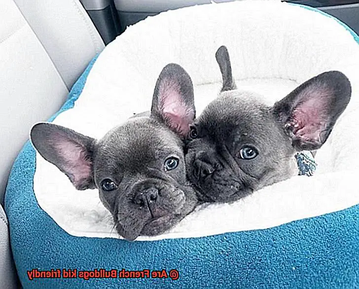 Are French Bulldogs kid friendly-2