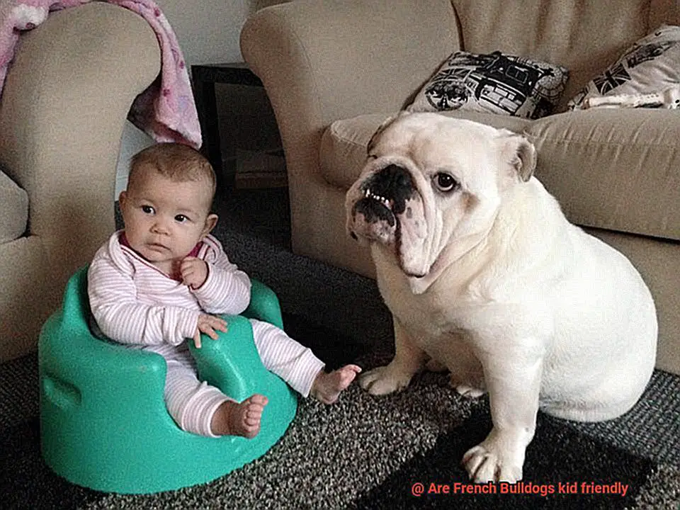 Are French Bulldogs kid friendly-3