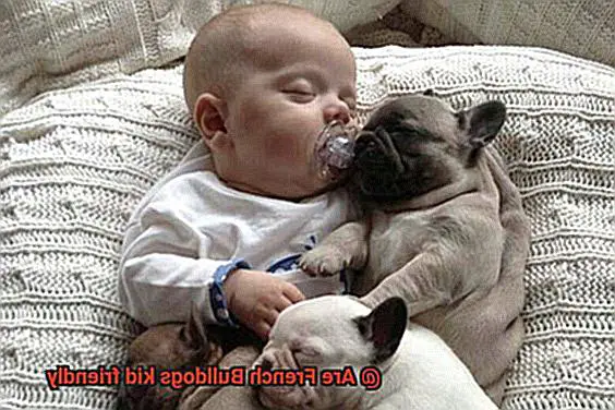 Are French Bulldogs kid friendly-4