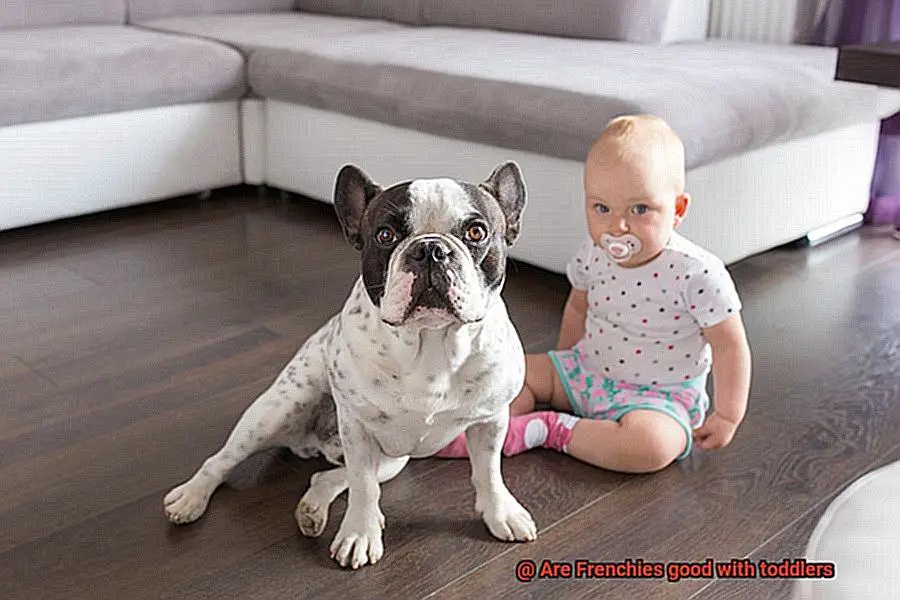 Are Frenchies good with toddlers-6