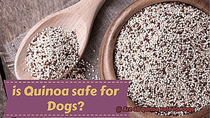 Are all quinoa safe for dogs-10