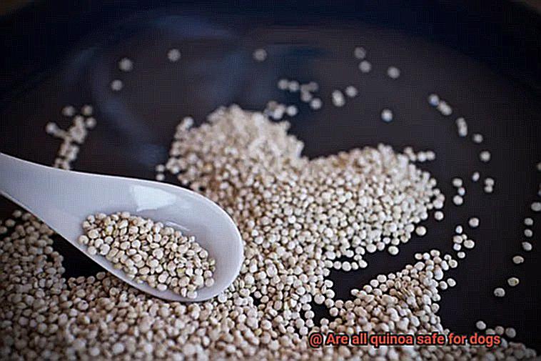 Are all quinoa safe for dogs-4