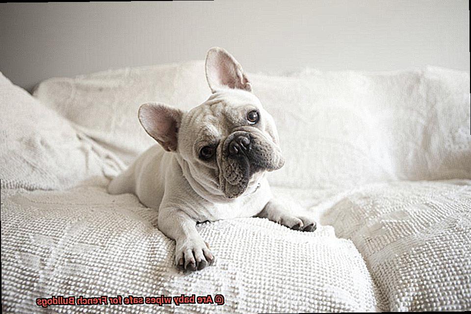 Are baby wipes safe for French Bulldogs-5