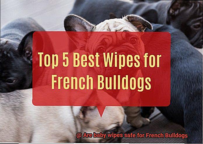 Are baby wipes safe for French Bulldogs-7