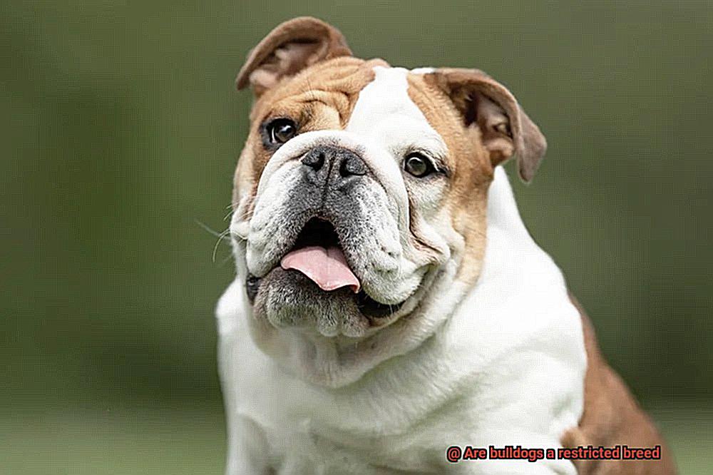 Are bulldogs a restricted breed-5