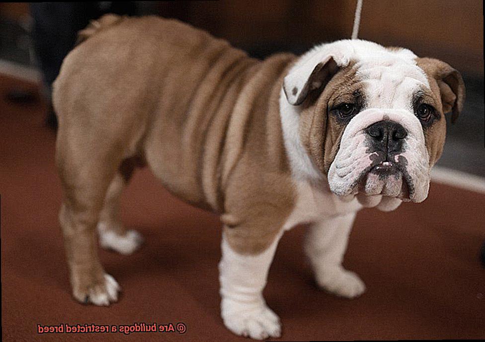 Are bulldogs a restricted breed-3