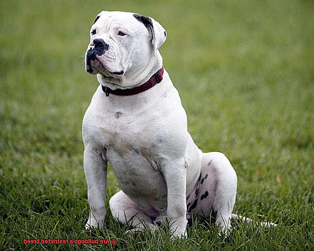 are-bulldogs-a-restricted-breed-allfrbulldogs