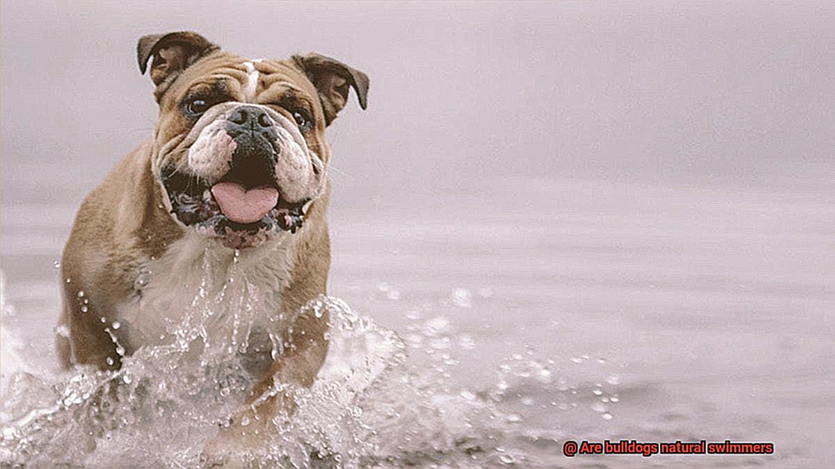 Are bulldogs natural swimmers-8