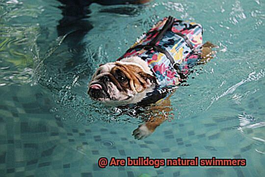 Are bulldogs natural swimmers-5