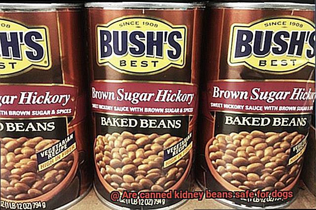 Are canned kidney beans safe for dogs-2