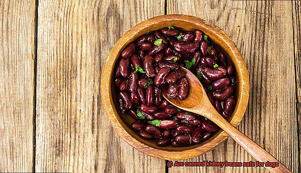 Are canned kidney beans safe for dogs-6