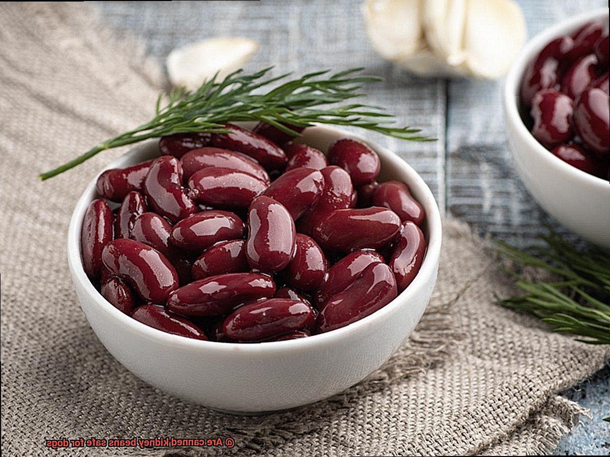 Are canned kidney beans safe for dogs-3