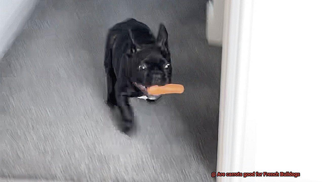 Are carrots good for French Bulldogs-2