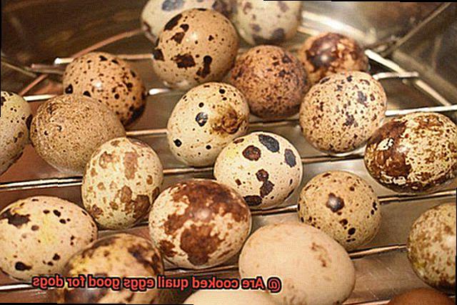 Are cooked quail eggs good for dogs-5