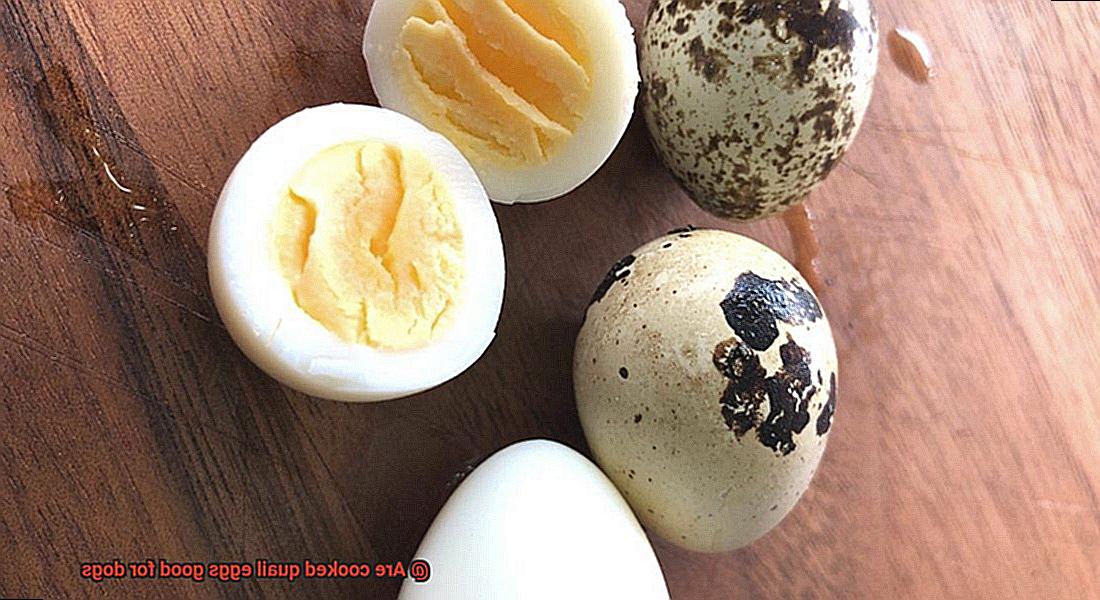 Are cooked quail eggs good for dogs-4