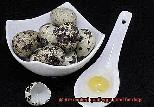 Are cooked quail eggs good for dogs-6