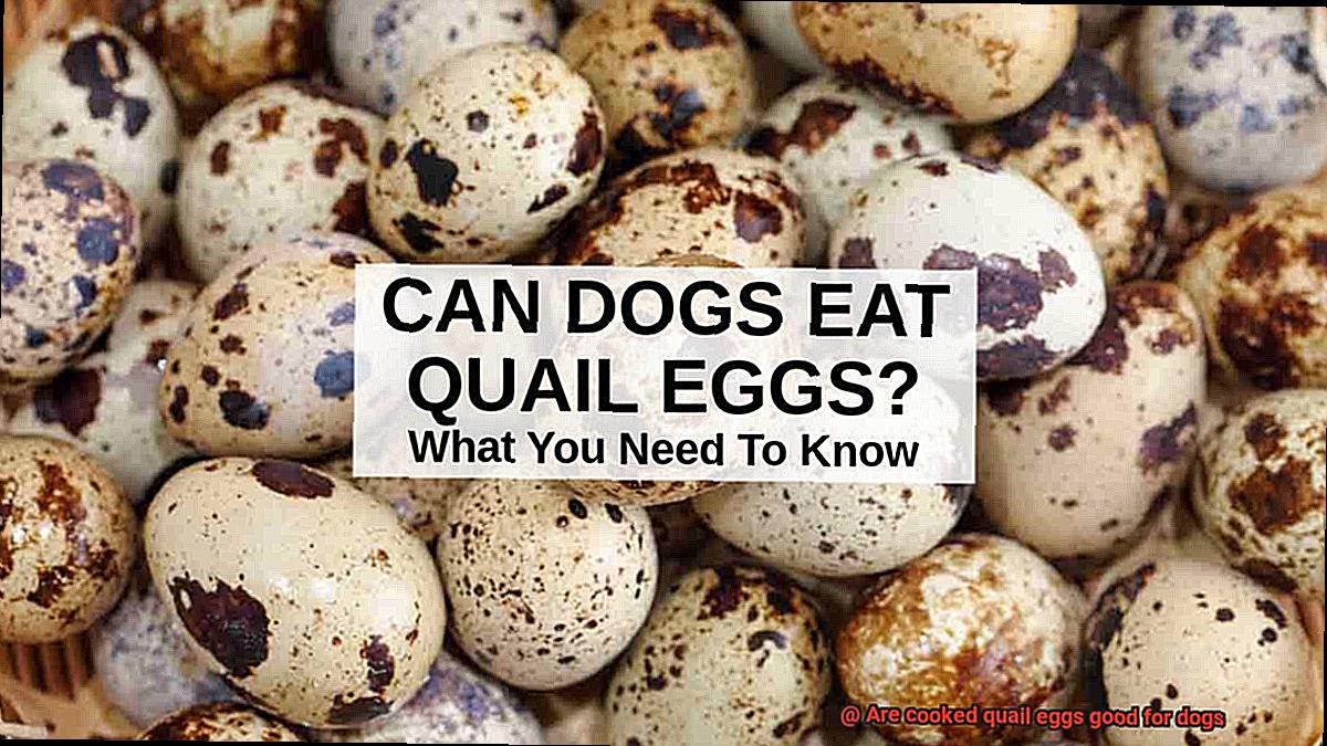 Are cooked quail eggs good for dogs-2