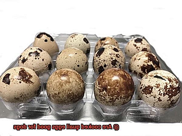 Are cooked quail eggs good for dogs-3