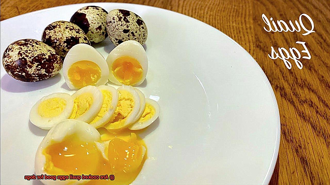 Are cooked quail eggs good for dogs-7