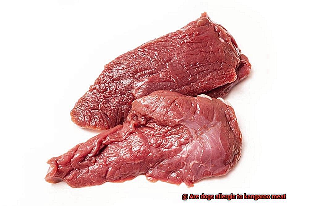 Are dogs allergic to kangaroo meat-6