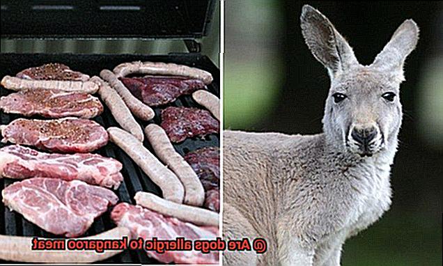 Are dogs allergic to kangaroo meat-8