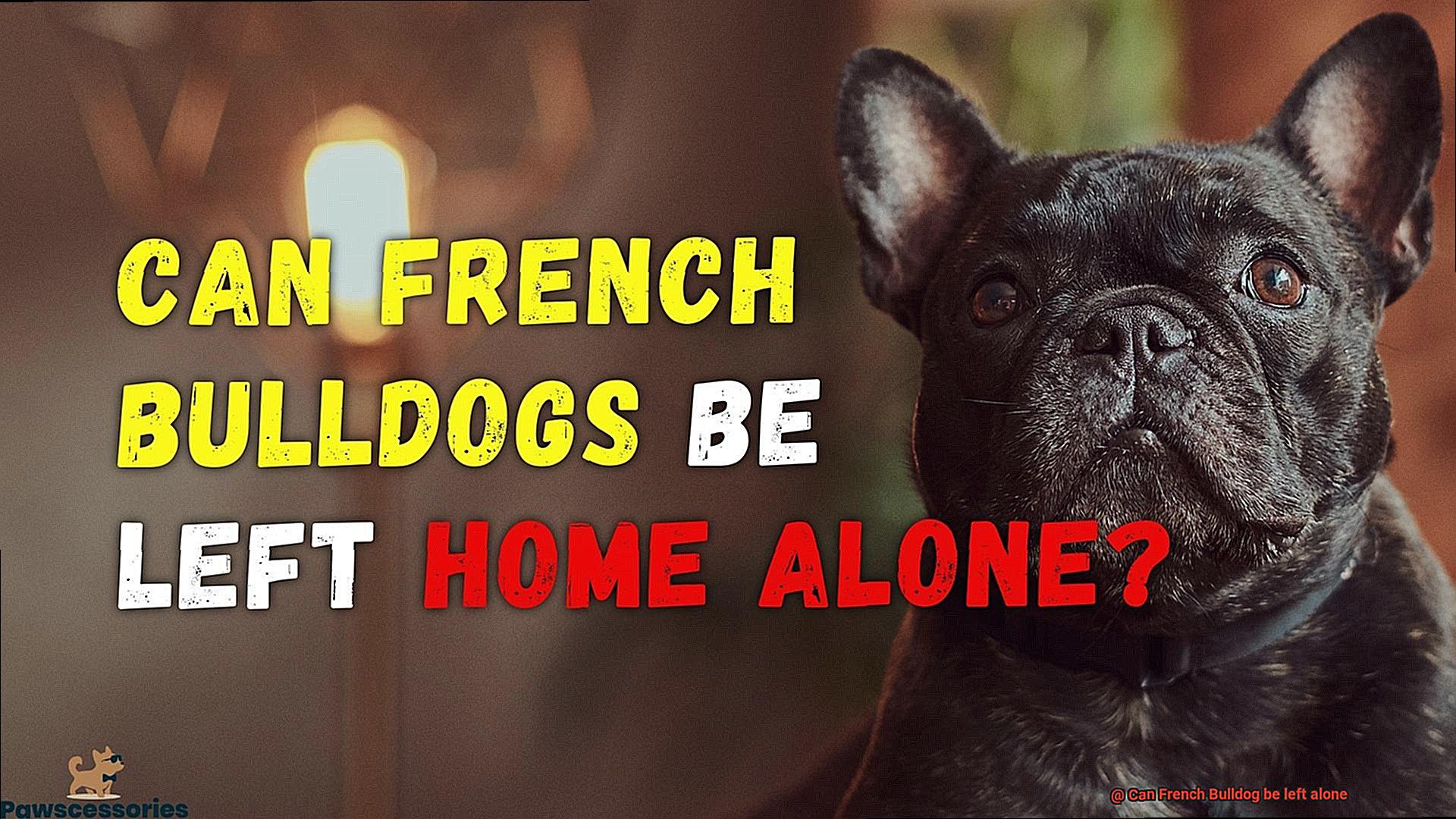 Can French Bulldog be left alone-8