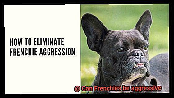 Can Frenchies be aggressive-7