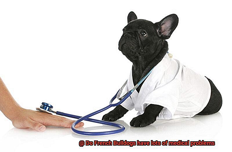 Do French Bulldogs have lots of medical problems-2