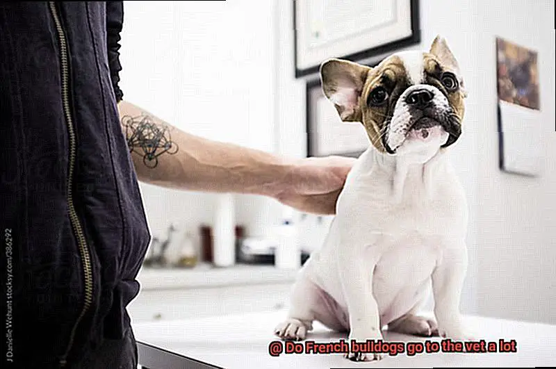 Do French bulldogs go to the vet a lot-3