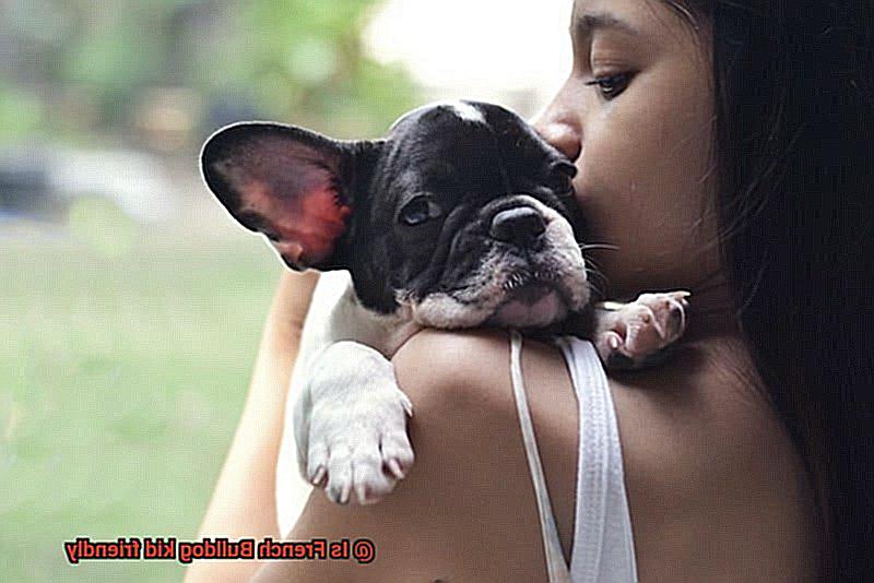 Is French Bulldog kid friendly-2