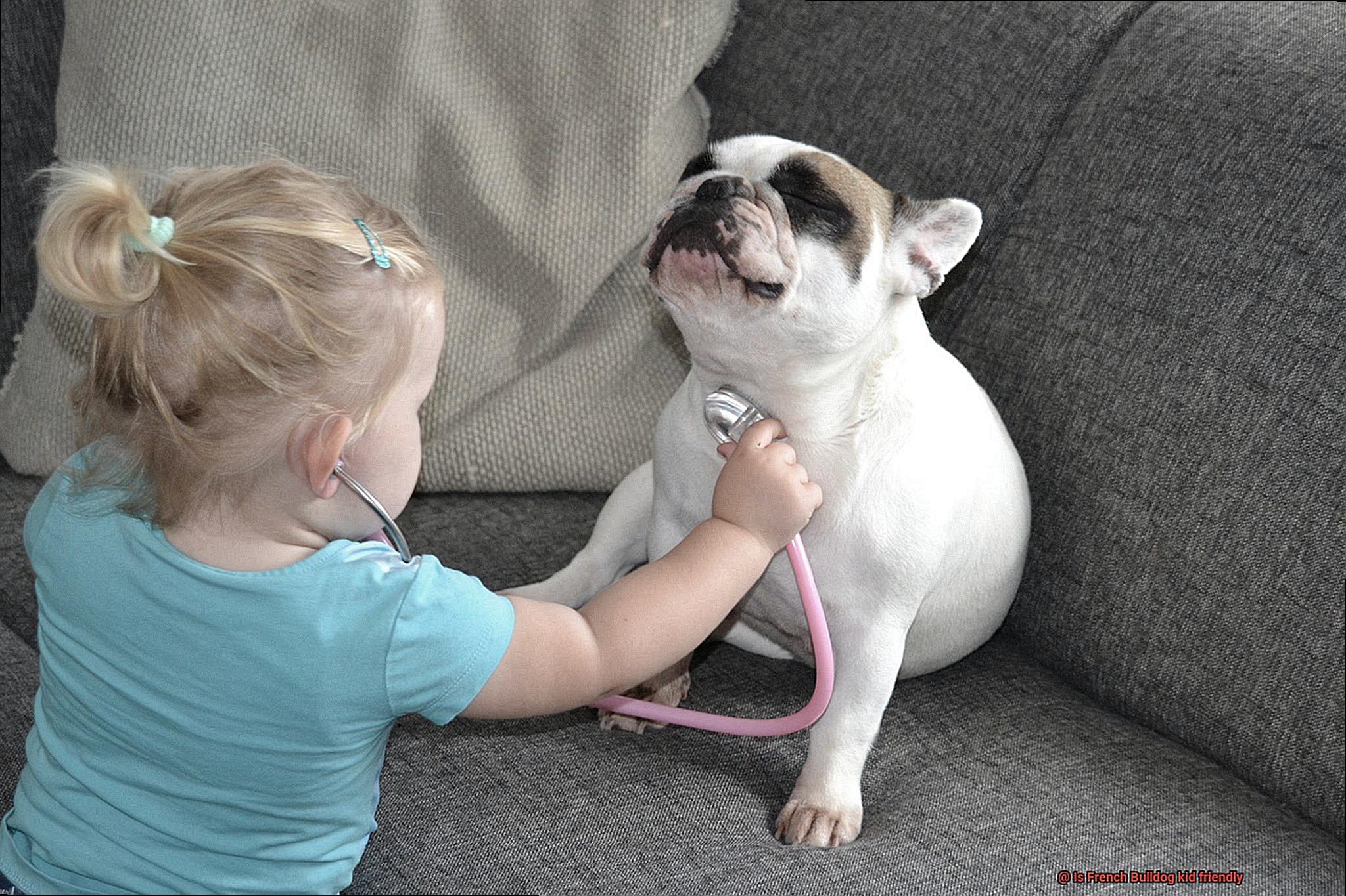 Is French Bulldog kid friendly-4