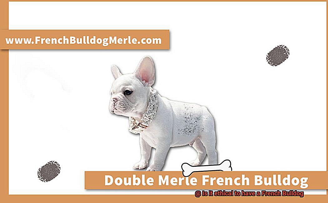 Is it ethical to have a French Bulldog-6