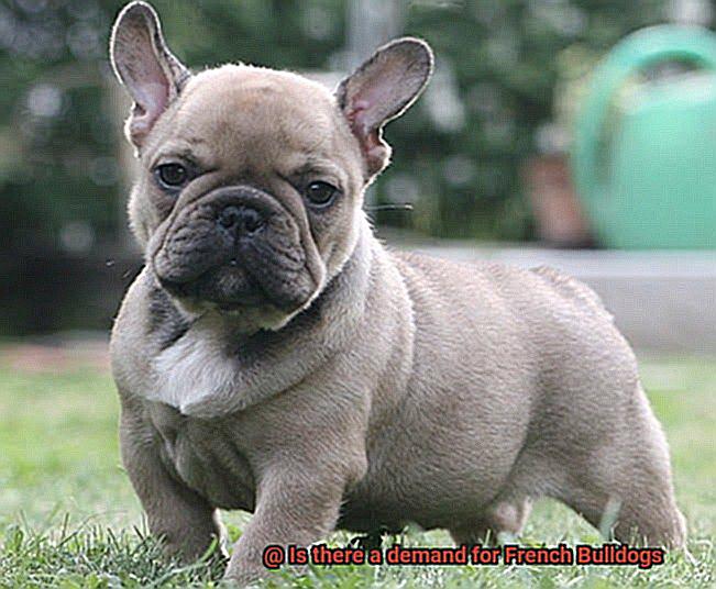 Is there a demand for French Bulldogs-7