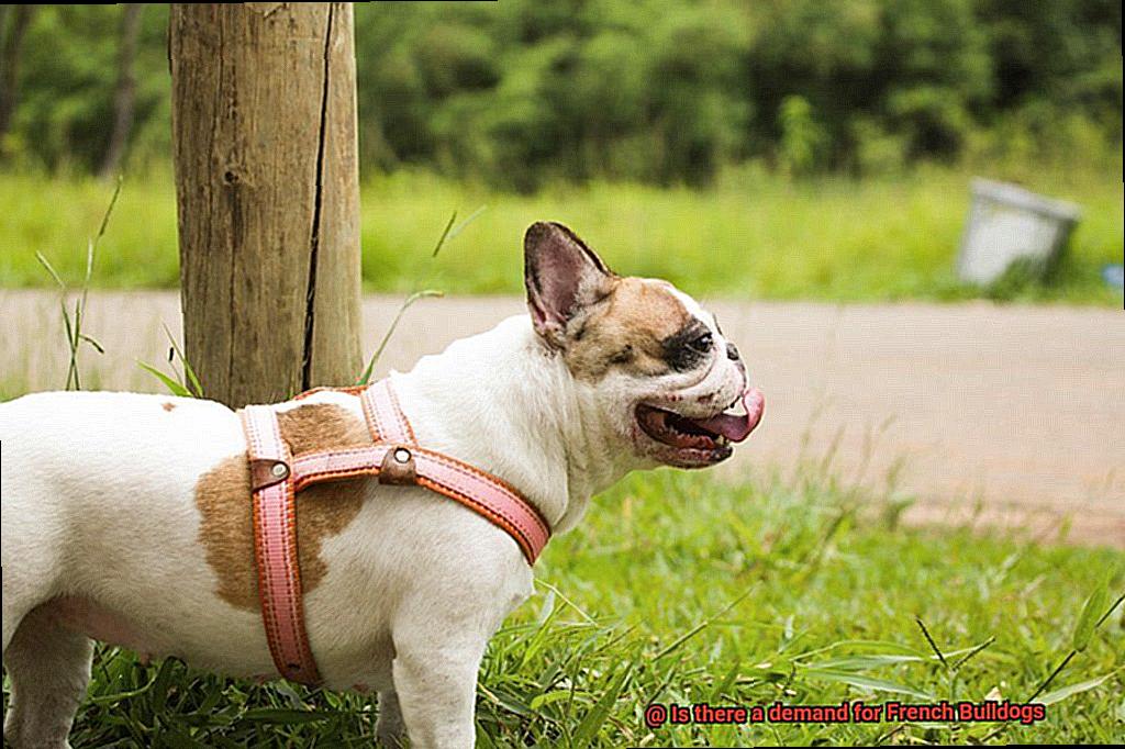 Is there a demand for French Bulldogs-11