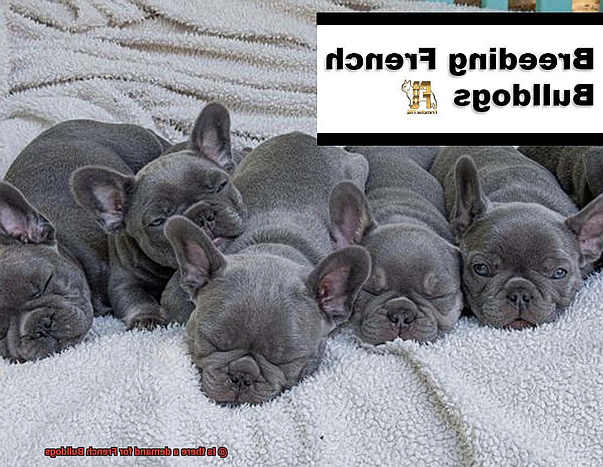 Is there a demand for French Bulldogs-8