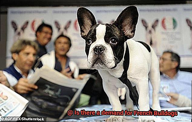 Is there a demand for French Bulldogs-10