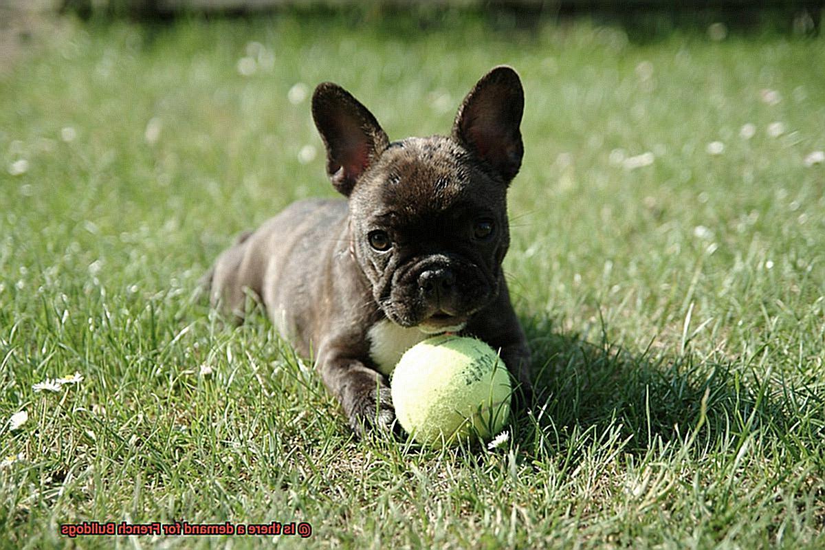 Is there a demand for French Bulldogs-5