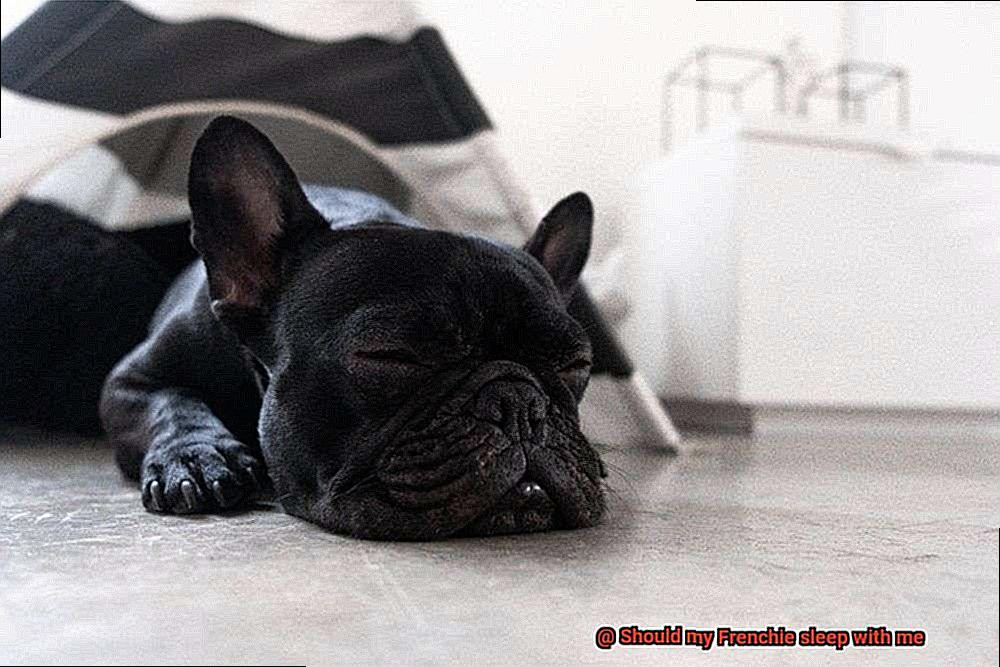 Should my Frenchie sleep with me-7