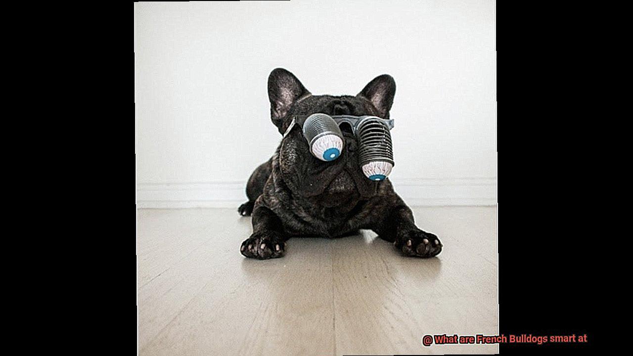 What are French Bulldogs smart at-7