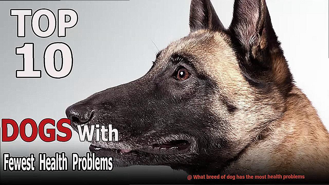 What breed of dog has the most health problems-4