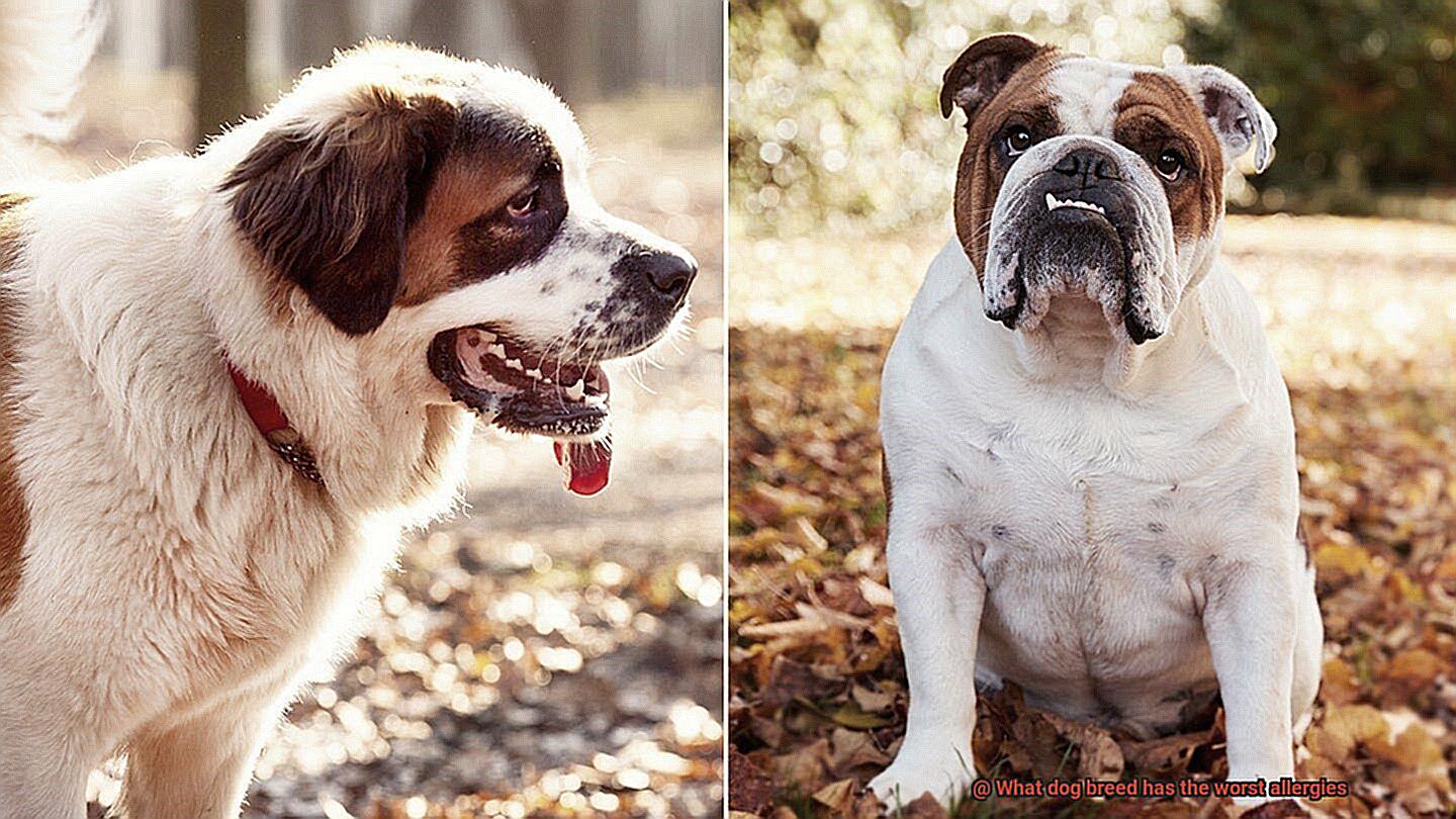 what-dog-breed-has-the-worst-allergies-allfrbulldogs