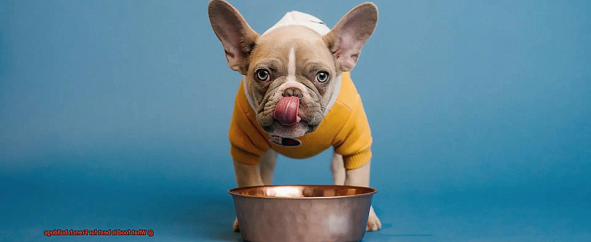 What food is best for French bulldogs-4